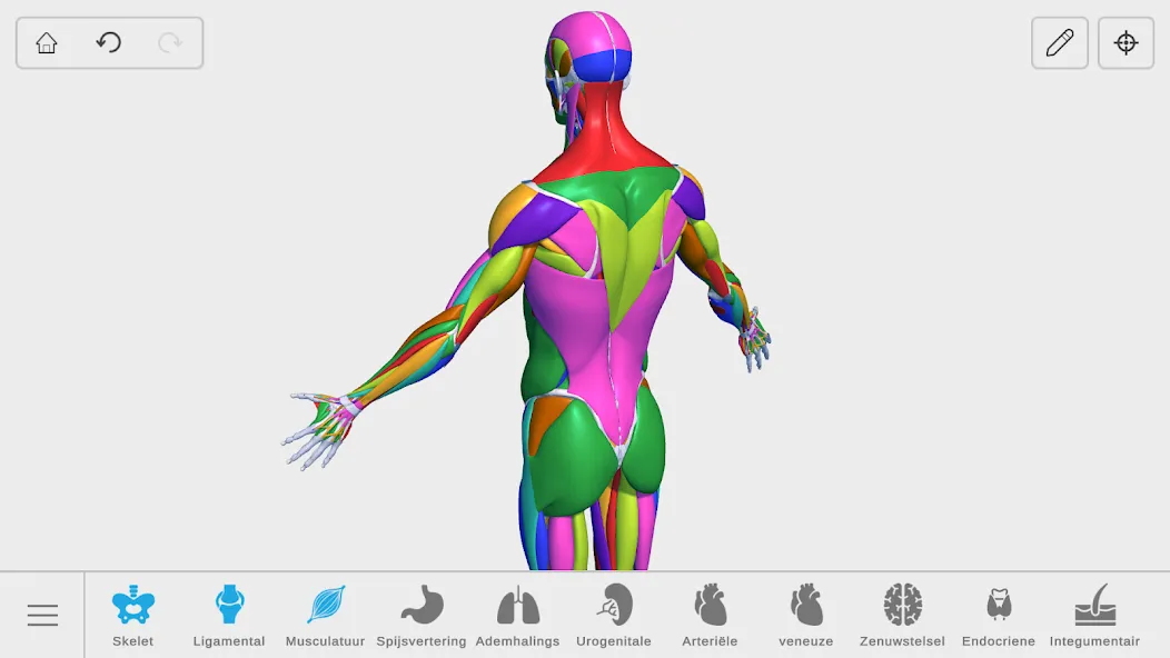 Visual Anatomy 3D - Human body screenshot 32