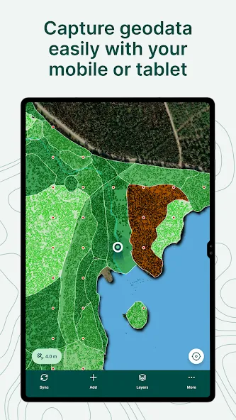 Mergin Maps: QGIS in pocket screenshot 11