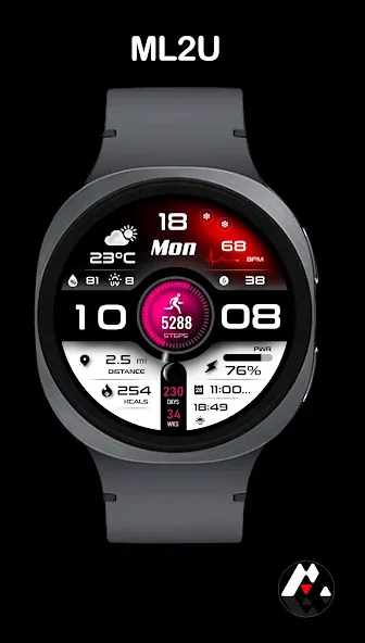 ML2U 293 Watch Face screenshot 4
