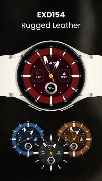 EXD154: Rugged Leather Analog screenshot 5