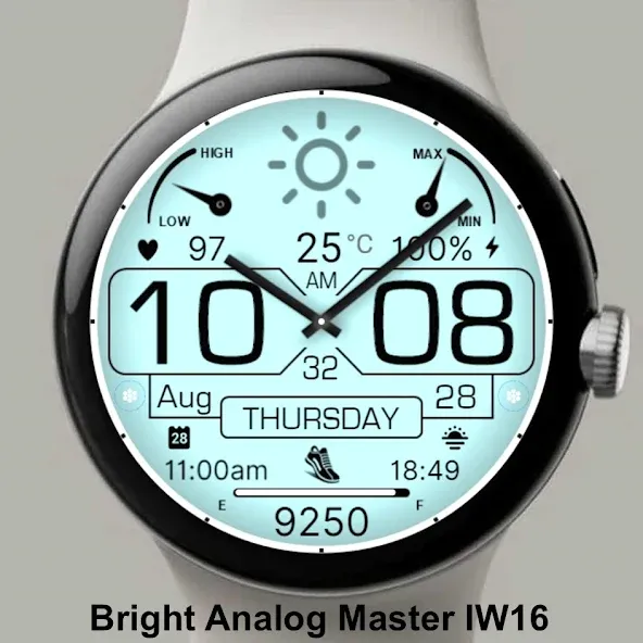 Bright Analog Master IW16 screenshot 4