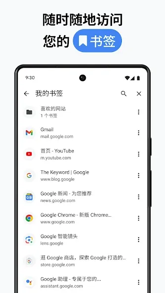 Google Chrome 浏览器 screenshot 8