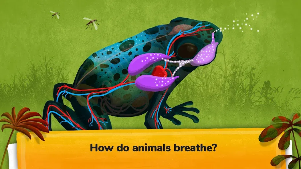 The Animals: Animal Kids Games screenshot 3