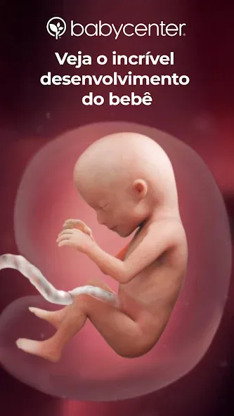 Minha gravidez e meu bebê hoje screenshot 1