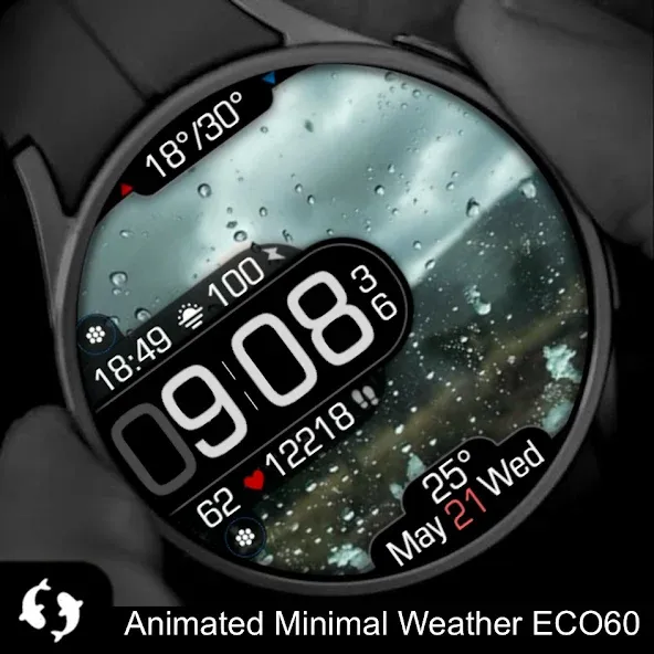 Animated Minimal Weather ECO60 screenshot 3