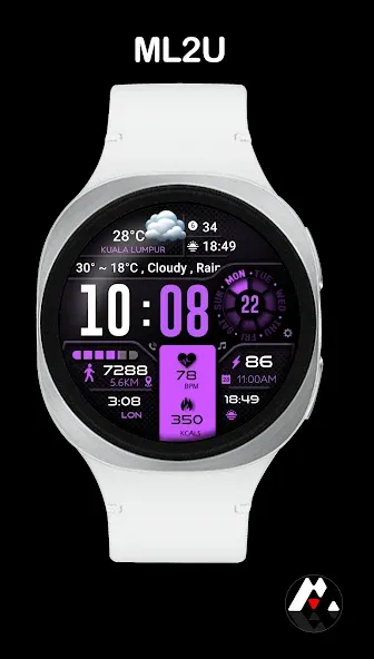 ML2U 134b Digital Hybrid screenshot 7