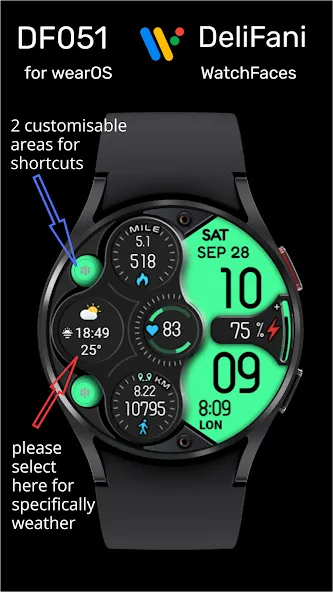 DF051 screenshot 2