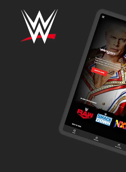 WWE screenshot 9