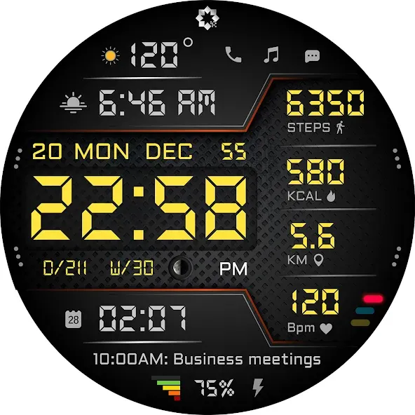 A440 Digital Health Face screenshot 26
