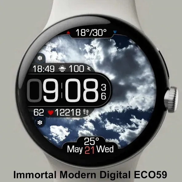 Animated Minimal Weather ECO60 screenshot 5