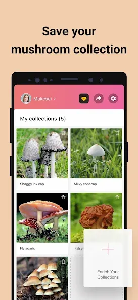 Picture Mushroom - Mushroom ID screenshot 5