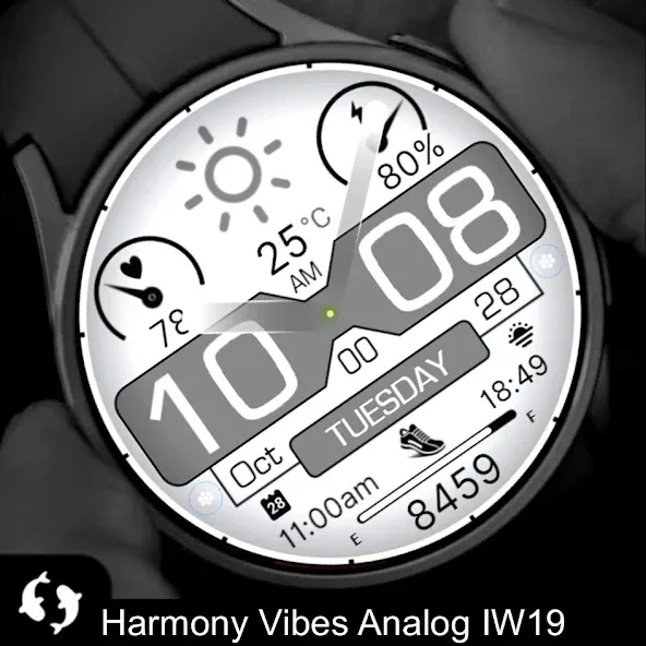 Harmony Vibes Analog IW19 screenshot 3