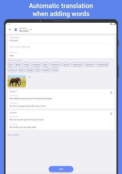 Learn Russian with Flashcards! screenshot 16