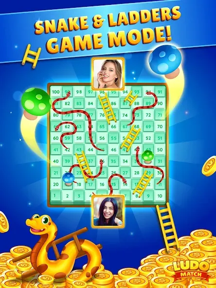Ludo Match screenshot 11