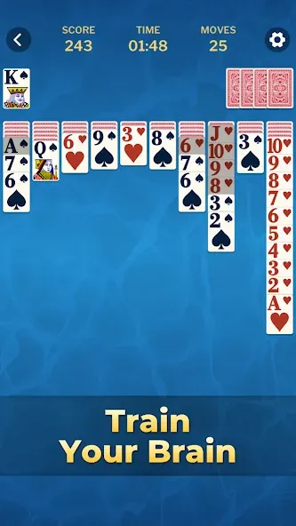 Spider Solitaire Classic Games screenshot 6