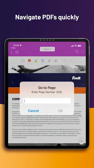 Foxit PDF Editor screenshot 21