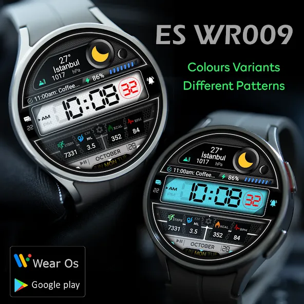 ES WR009 screenshot 5