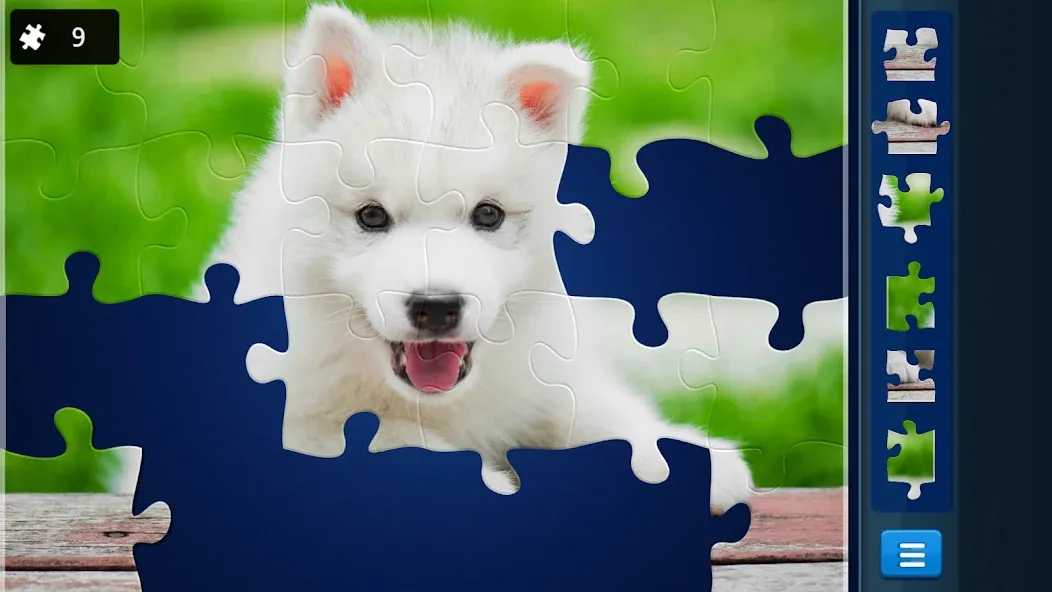 Jigsaw Puzzles: Picture Puzzle screenshot 8