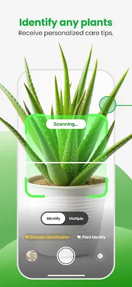 Plant App - Plant Identifier screenshot 2