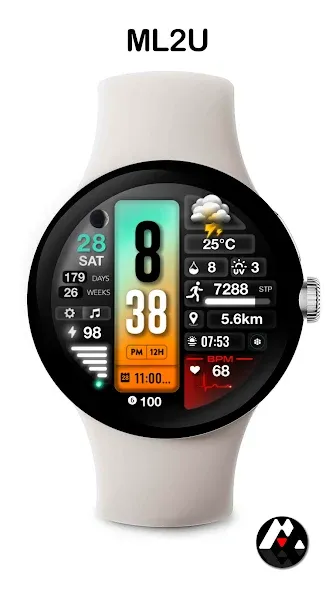 ML2U 268 Watch Face screenshot 6