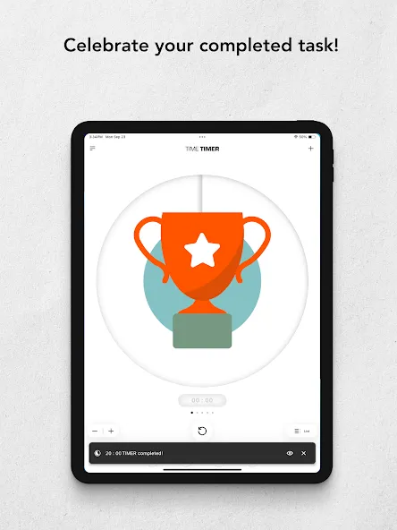 TIME TIMER for ANDROID screenshot 12