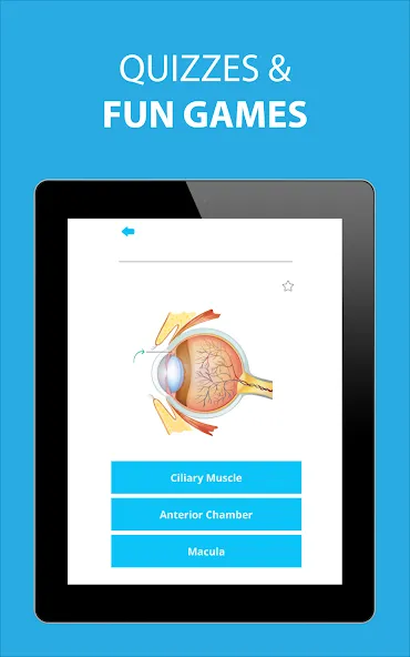 Medical Terminology Learning Q screenshot 10