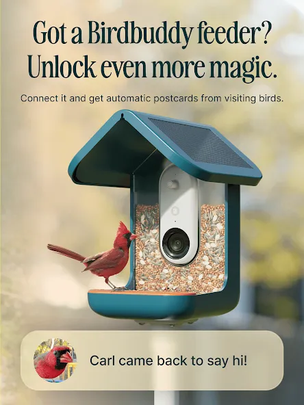 Birdbuddy: ID & Collect Birds screenshot 7