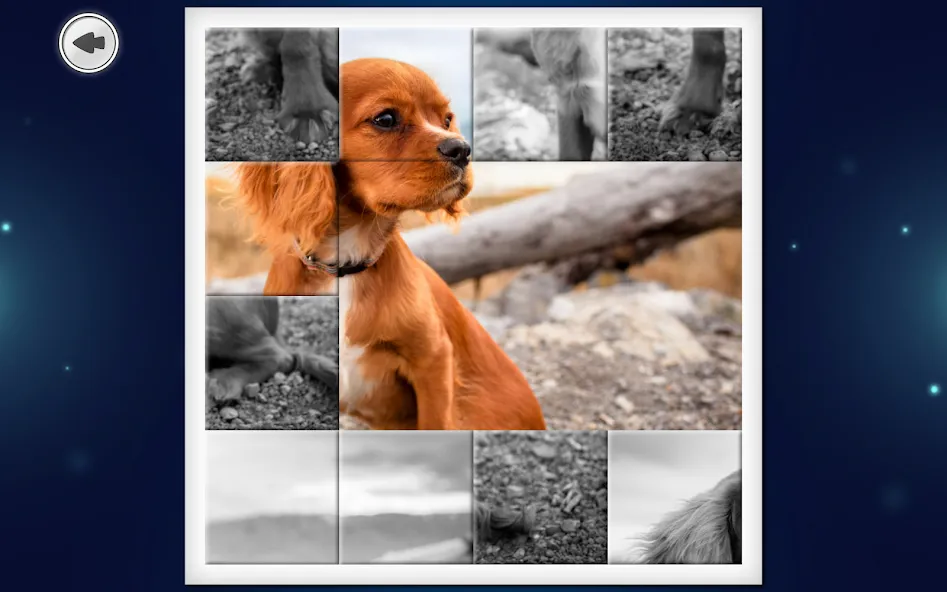 IMAGEine Premium screenshot 15
