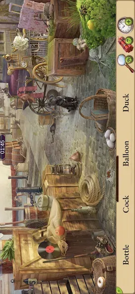 Paris Secrets Hidden Objects screenshot 7
