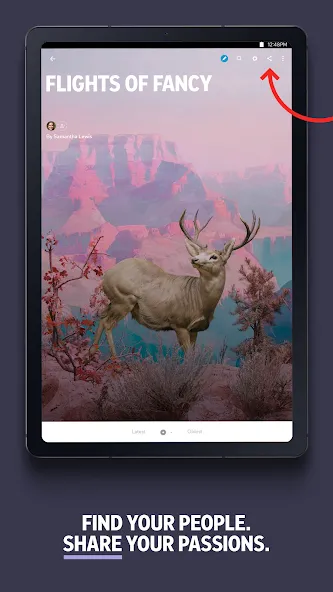 Flipboard:Your Social Magazine screenshot 15