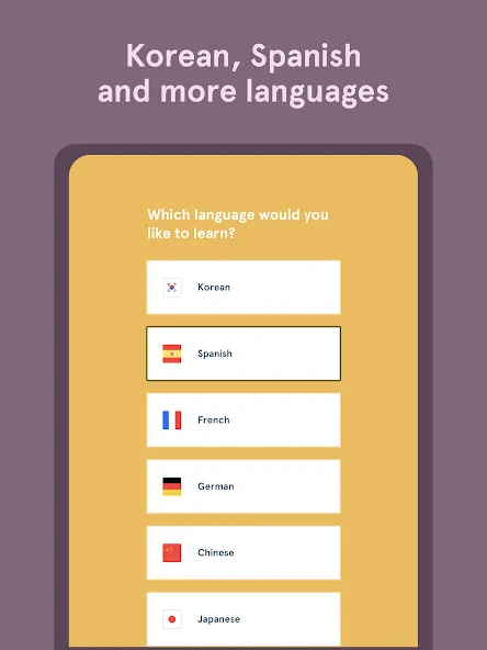 Bunpo: Language Learning screenshot 10
