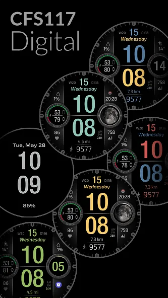 CFS117 Digital screenshot 2