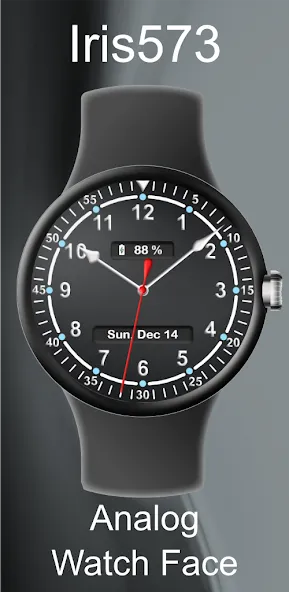 Iris573 Classic Analog Watch screenshot 1