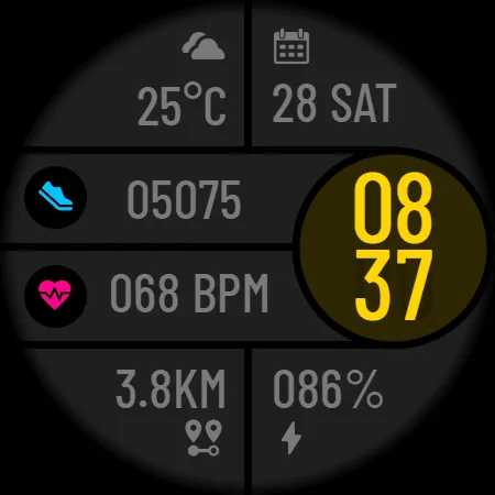 POLO Watch Face screenshot 36