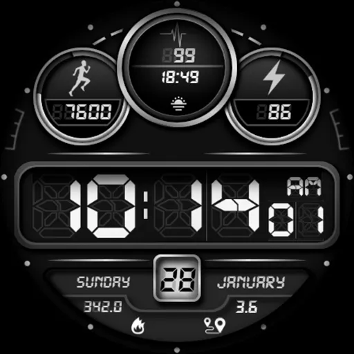 Digistaff V screenshot 19