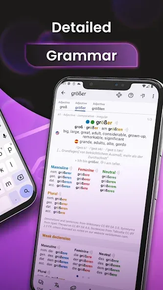 German Dictionary Pro screenshot 3