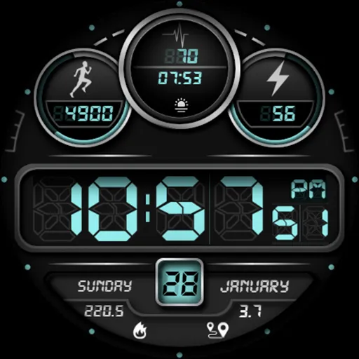 Digistaff V screenshot 20