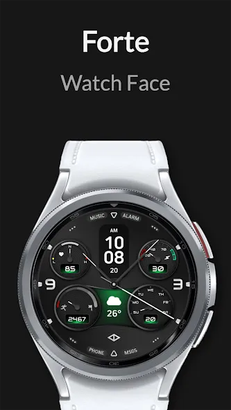Forte: Hybrid Watch Face screenshot 5