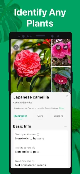 PictureThis - Plant Identifier screenshot 2