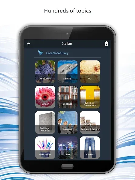 Learn 163 Languages | Bluebird screenshot 22