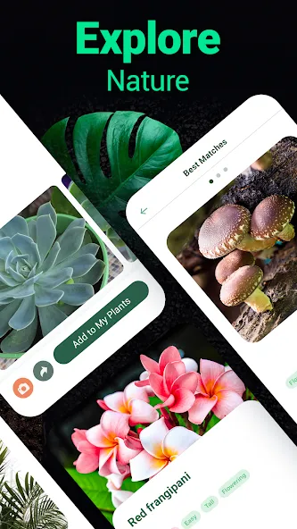 Plantum - Plant Identifier screenshot 4