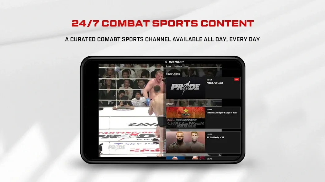 UFC screenshot 8