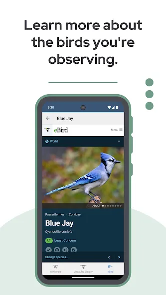 BirdNET screenshot 6