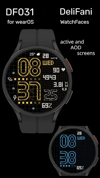 DF031 screenshot 2