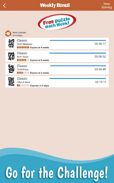 Nurikabe: Islands & Walls screenshot 10