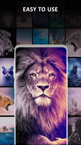 4K, HD Wallpapers | Background screenshot 6