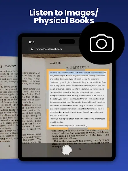 NaturalReader - Text to Speech screenshot 24