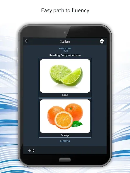 Learn 163 Languages | Bluebird screenshot 19