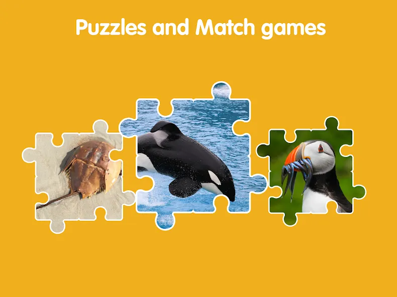 Learn Ocean Animals for kids screenshot 23