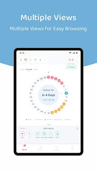 Lemonlet Period Tracker screenshot 11